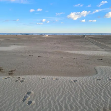 Colivingone-mora Римини