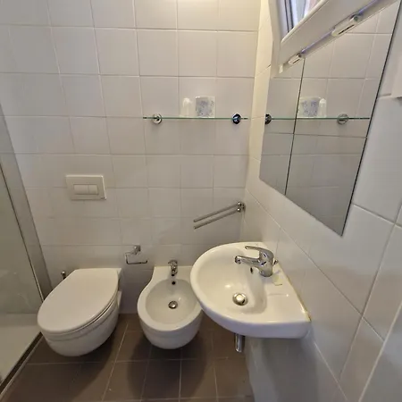 Colivingone-mora Rímini