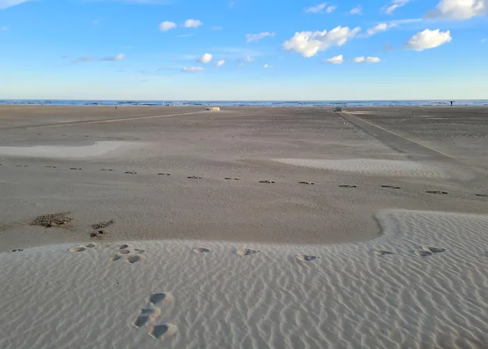 Colivingone-mora Rimini