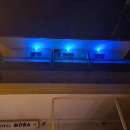 Colivingone-mora * Rimini