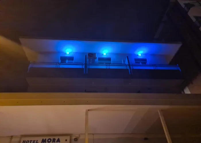 Colivingone-mora * רימיני