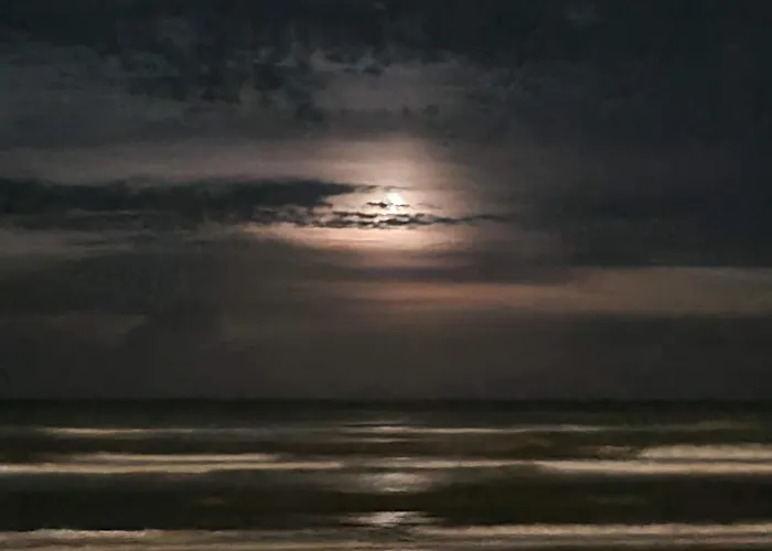 בית הארחה Colivingone-mora רימיני