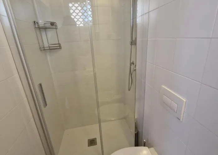 Colivingone-mora * רימיני