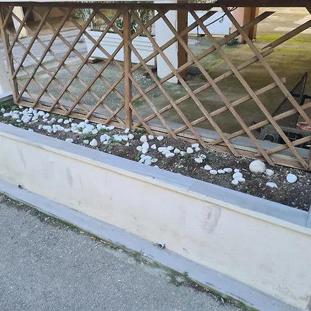 Colivingone-mora * 리미니