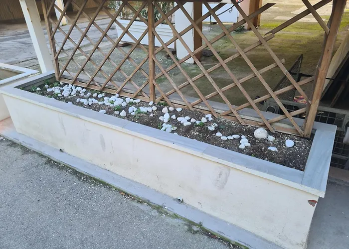 Colivingone-mora * 리미니