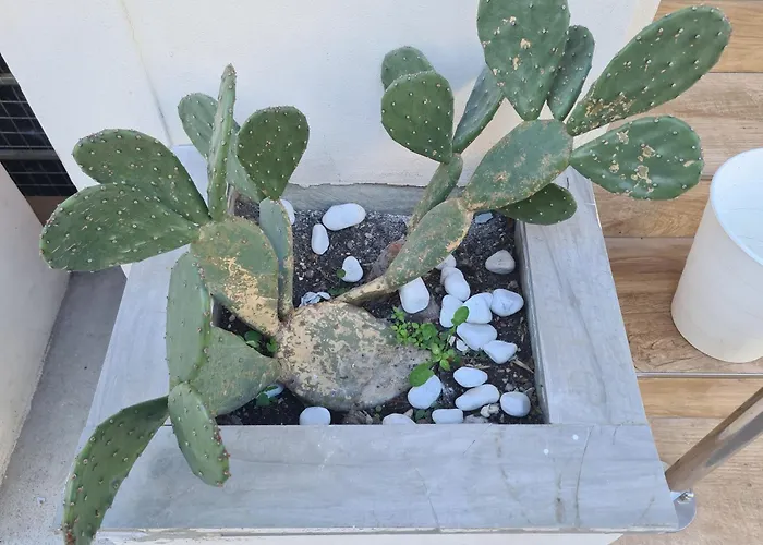 Colivingone-mora 게스트하우스